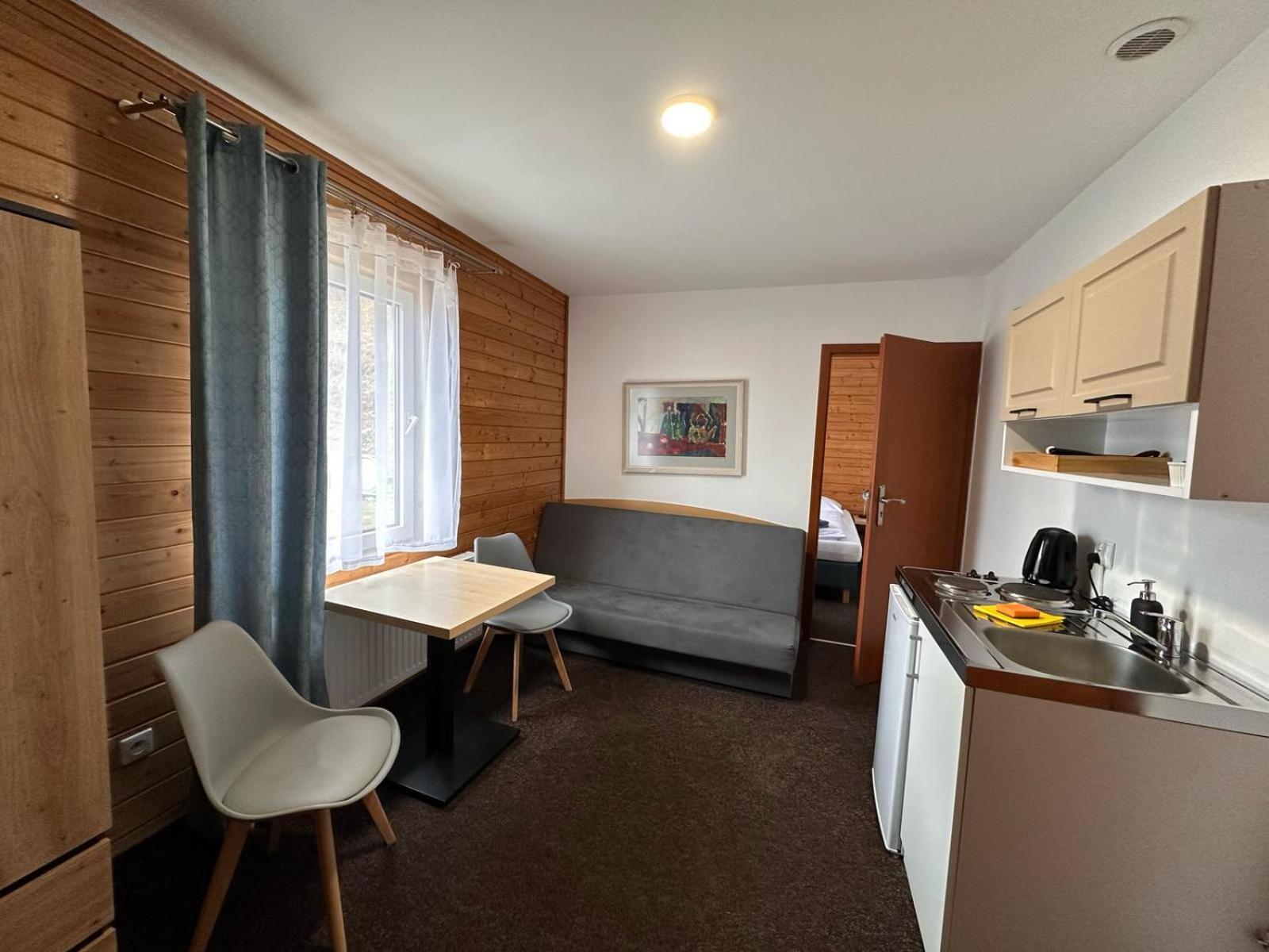 Pod Orlica Apartment Duszniki Zdroj Room photo